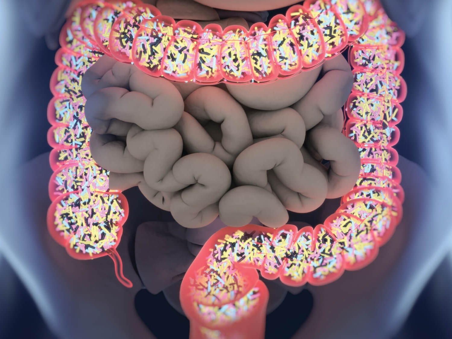 Clinicas Persona - Microbioma intestinal