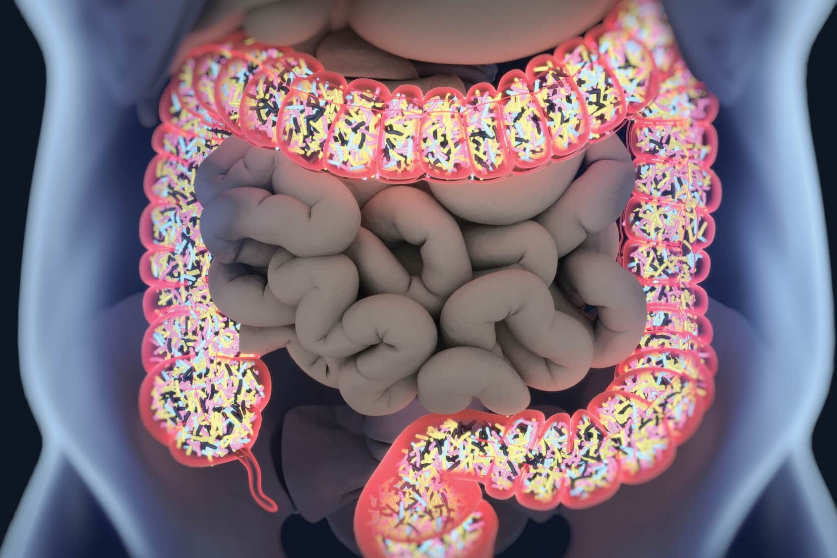 Clinicas Persona - Flora intestinal saudavel