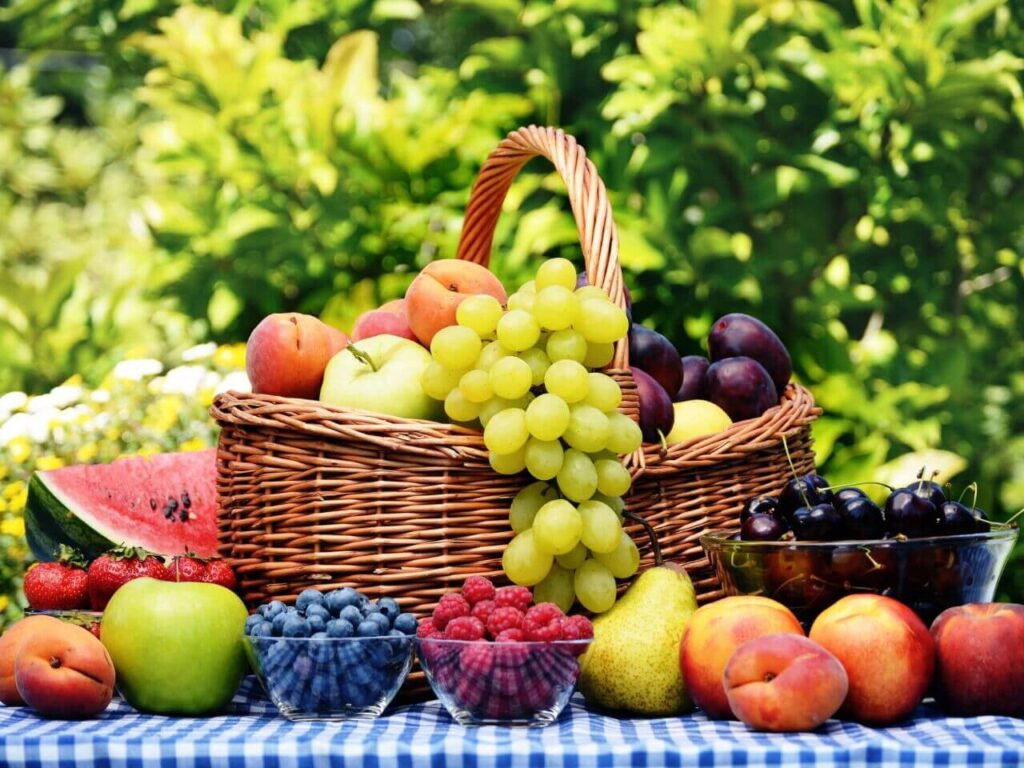 Frutas da época de verão, com melancia, cerejas, ameixas, pêssego, pera, maçã, uvas e frutos vermelhos