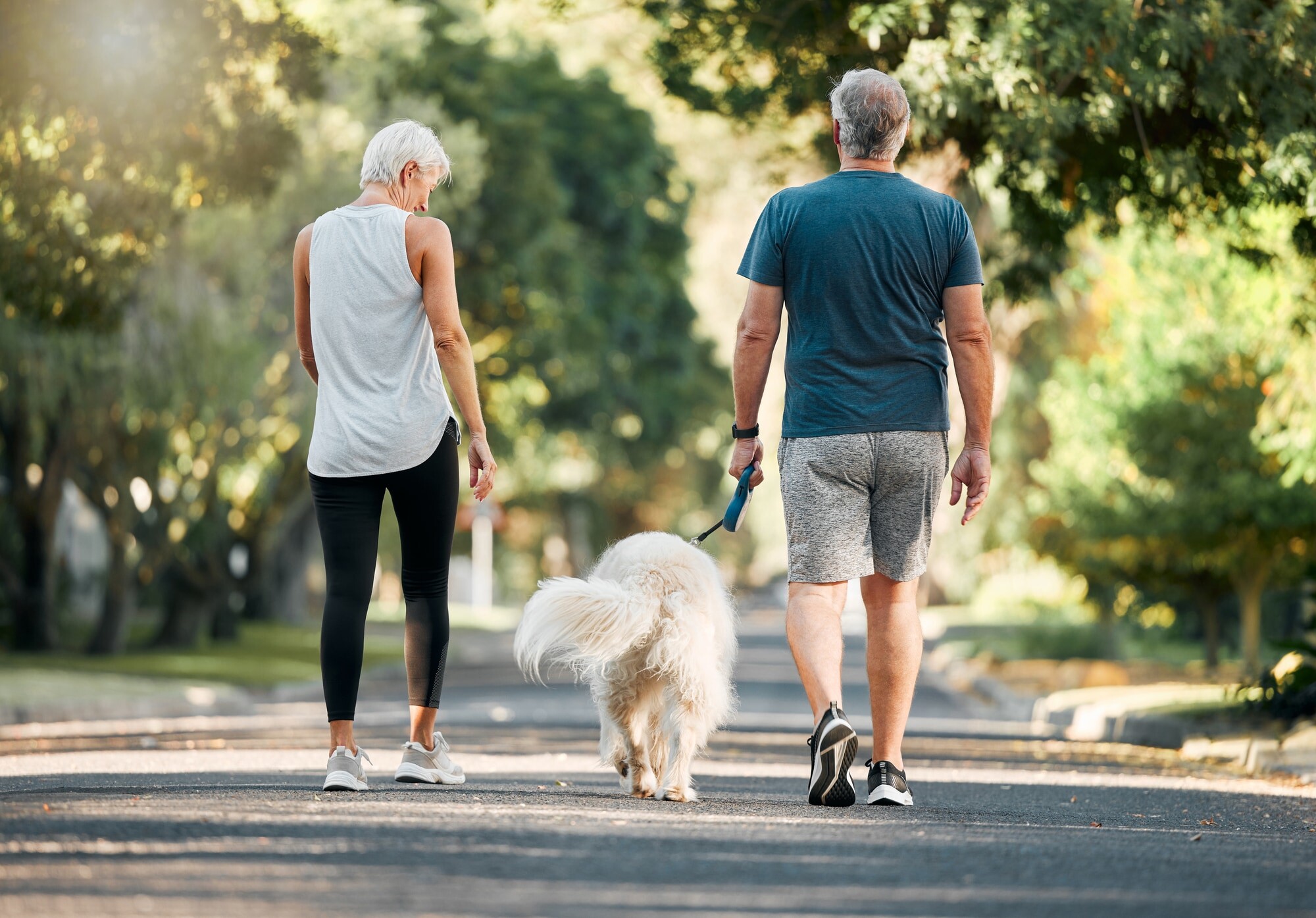 Casal de meia idade caminha no parque e passeia o cão.